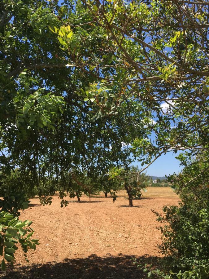 ポレレス Finca Es Vinyetヴィラ エクステリア 写真